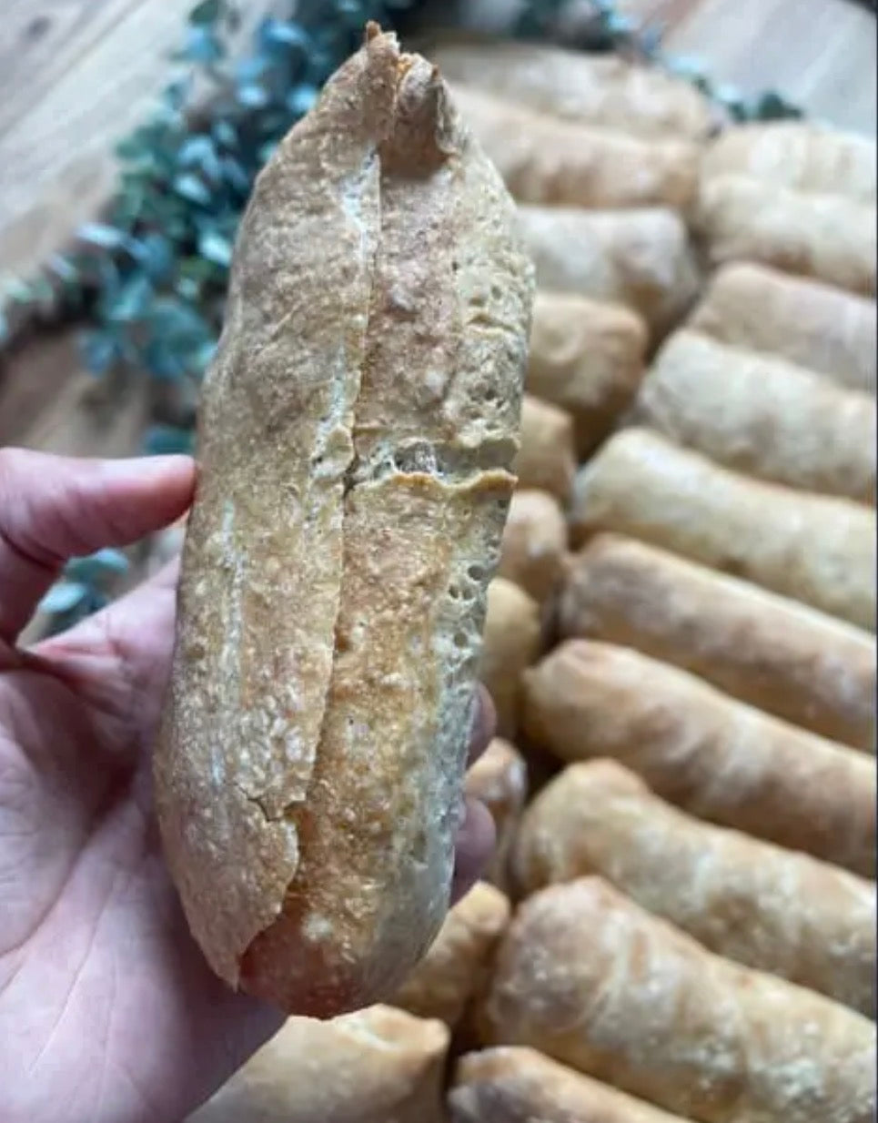 ciabatta